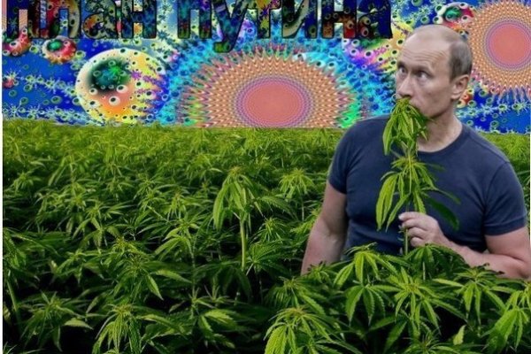 Нарко сайт кракен