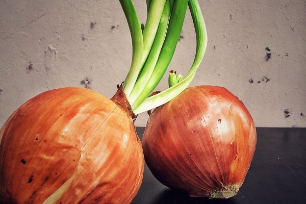 Kraken адрес onion