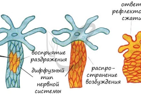 Кракен ссылка тор kr2web in